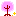 桜*