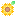 sunflower*