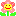 お花