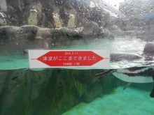 AKB48 Official Blog ～１８３０ｍから～ powered by アメブロ　　