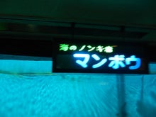 AKB48 Official Blog ～１８３０ｍから～ powered by アメブロ　　
