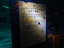 AKB48 Official Blog ～１８３０ｍから～ powered by アメブロ　　
